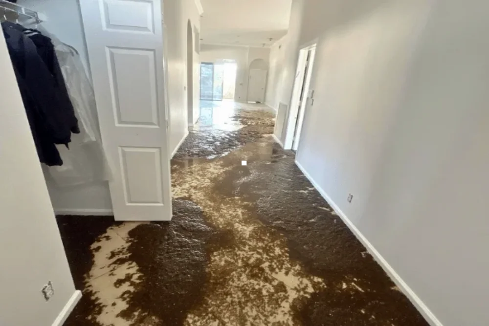 Sewage Backup Cleanup